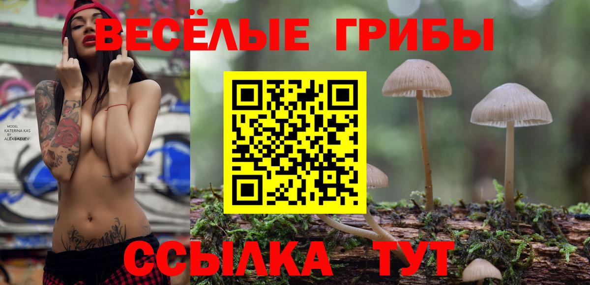 Псилоцибиновые грибы GOLDEN TEACHER Ухта